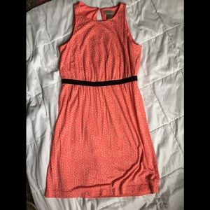 Loft dress